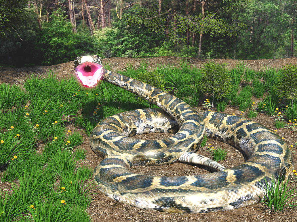 Python - Burmese python teeth mawshot A by JorkTheElf on DeviantArt