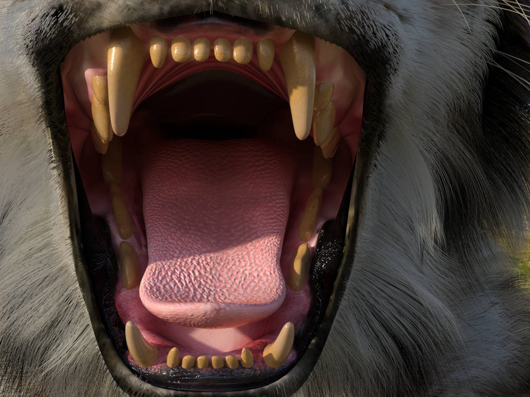 AM Lynx Mawshot B By JorkTheElf On DeviantArt am-lynx-mawshot-b-by-jorktheelf-on-deviantart