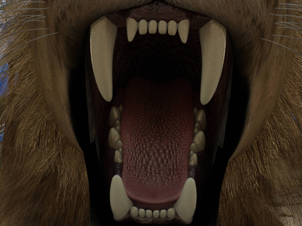 HW Feline Lion Mawshot B By JorkTheElf On DeviantArt hw-feline-lion-mawshot-b-by-jorktheelf-on-deviantart