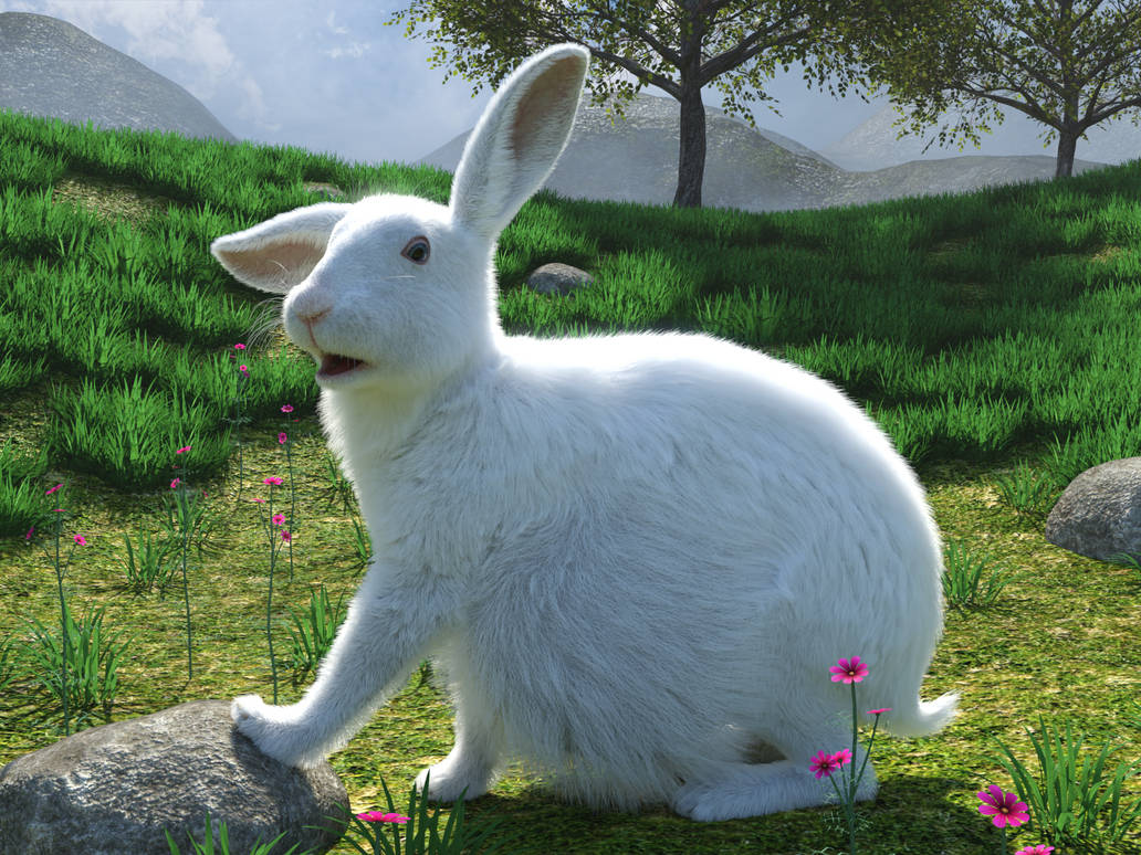 Meet the white rabbit - Easter cancelled 2025 A by JorkTheElf on DeviantArt