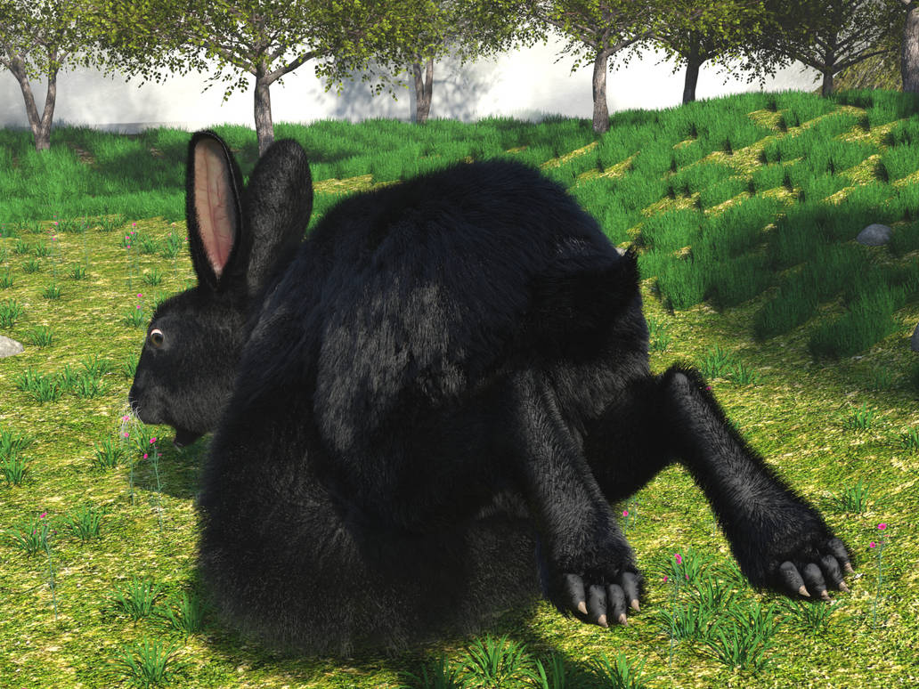 Meet the black rabbit - Easter cancelled 2025 B by JorkTheElf on DeviantArt