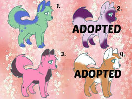 Free Puppies batch (Draw to Adopt)