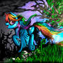 She's A Rainbow