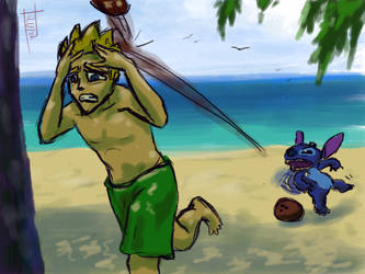 beach, Finn,  Stitch, coconut...