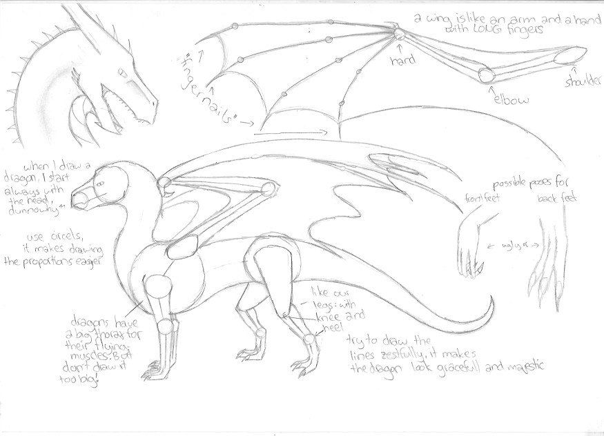 tutorial - how to draw a dragon by Ferania on DeviantArt