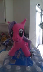 MLP Plushie front view