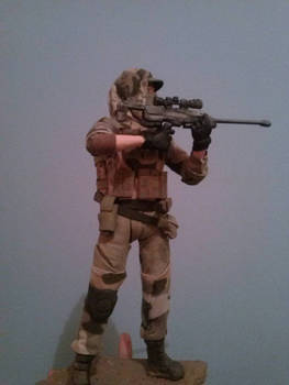 sniper elite battlefield 30cm 