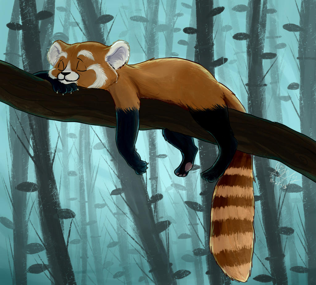 Red Panda by JessieDrawz on DeviantArt