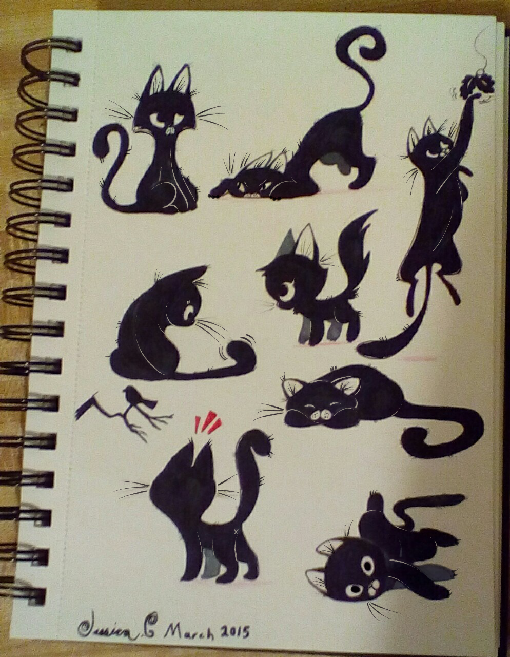 Black cats