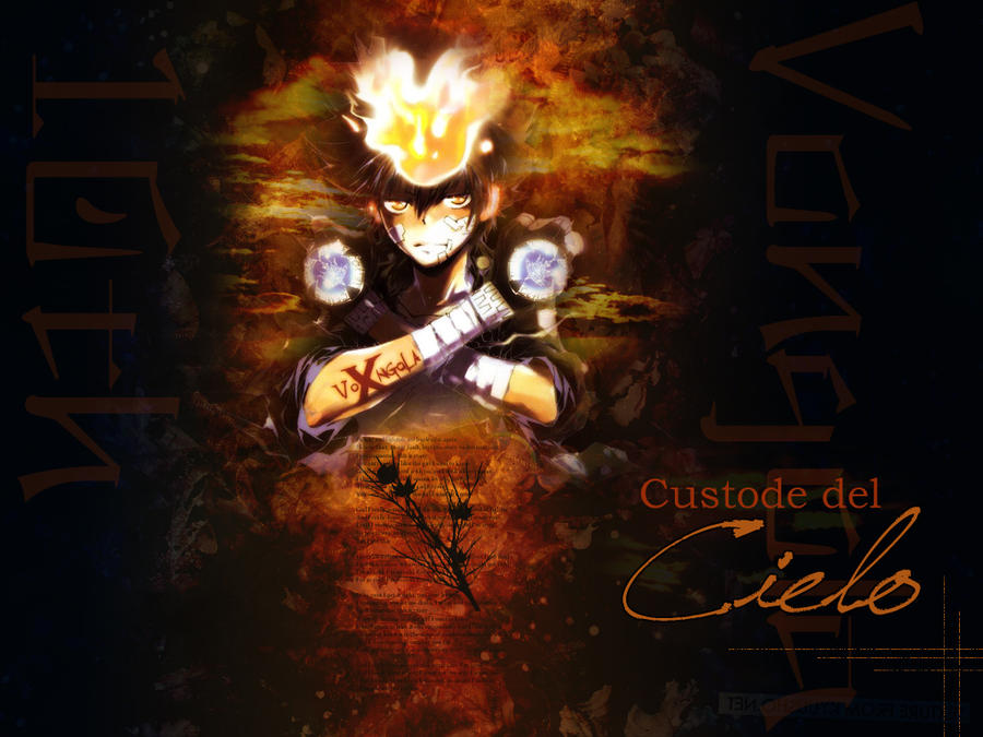 Custode del Cielo