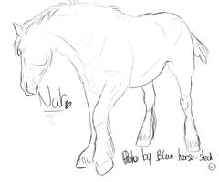 Blue-Horse-Stock_5