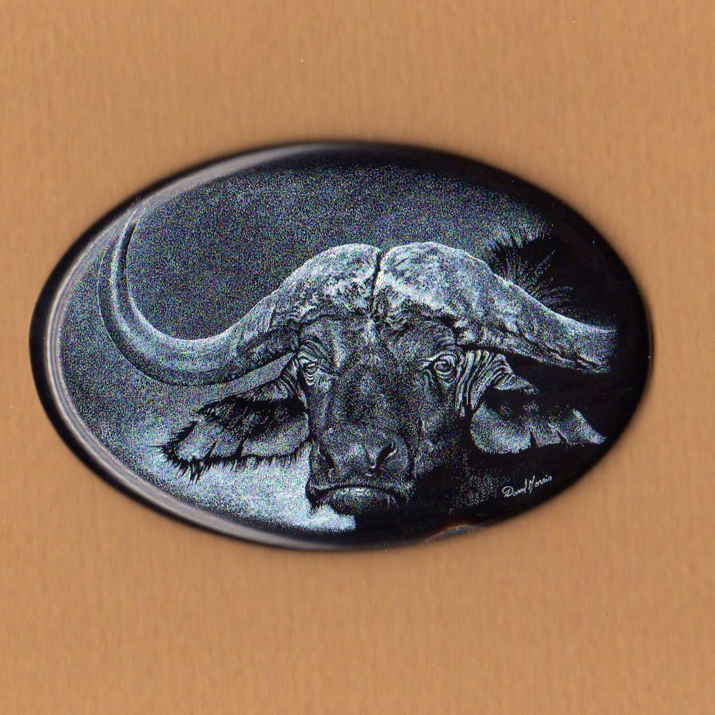 Cape Buffalo