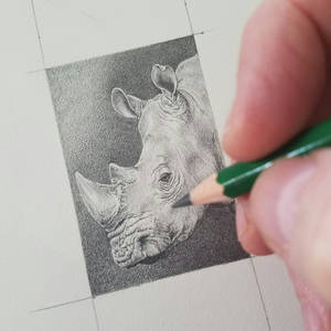 Rhino Mini Drawing Work in Progress