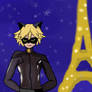 Chat Noir