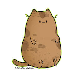 Potato Cat