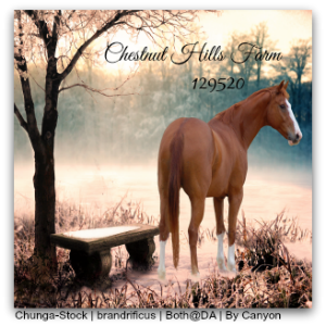 Chestnut Hill Farm Avatar-HEE