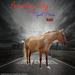 Paradise City-HEE