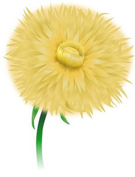 dandelion vector