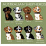 Australian Shepherd Color Patterns