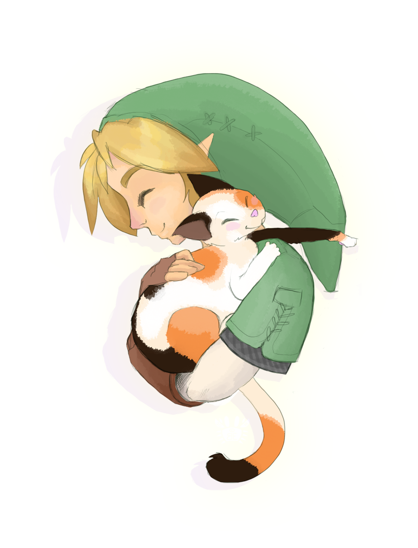 When Link Holds Cats...