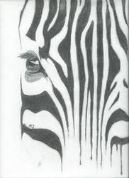 Zebra No.1