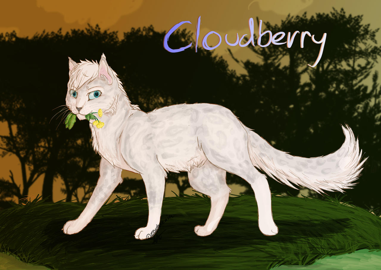 Cloudberry to the rescue