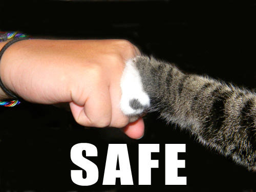 neverb4 - Hobbyist, General Artist | DeviantArt