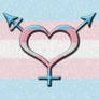 Transgender Pride Gender Neutral Symbol