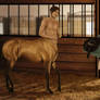 Commission for PalominoX - Centaur surprise!