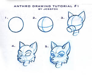 .:Anthro Tutorial No.1:.