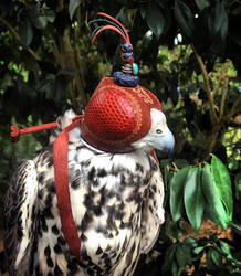 Gene Johnson falconry hood 