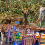 Rainforest Cafe Toons