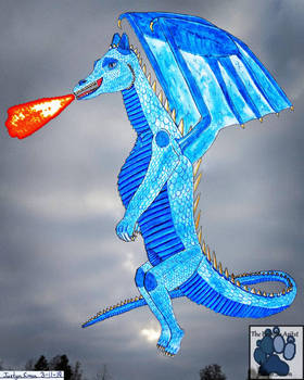 Walter the dragon 2019
