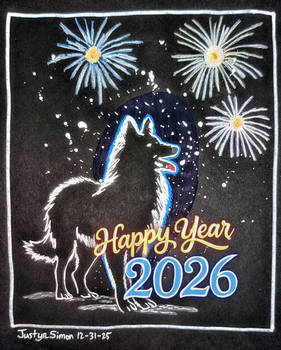 New Year 2026,A Quiet Moment Beneath the Fireworks
