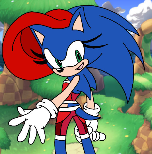 Alexis The Hedgehog by Alexjack5 on DeviantArt