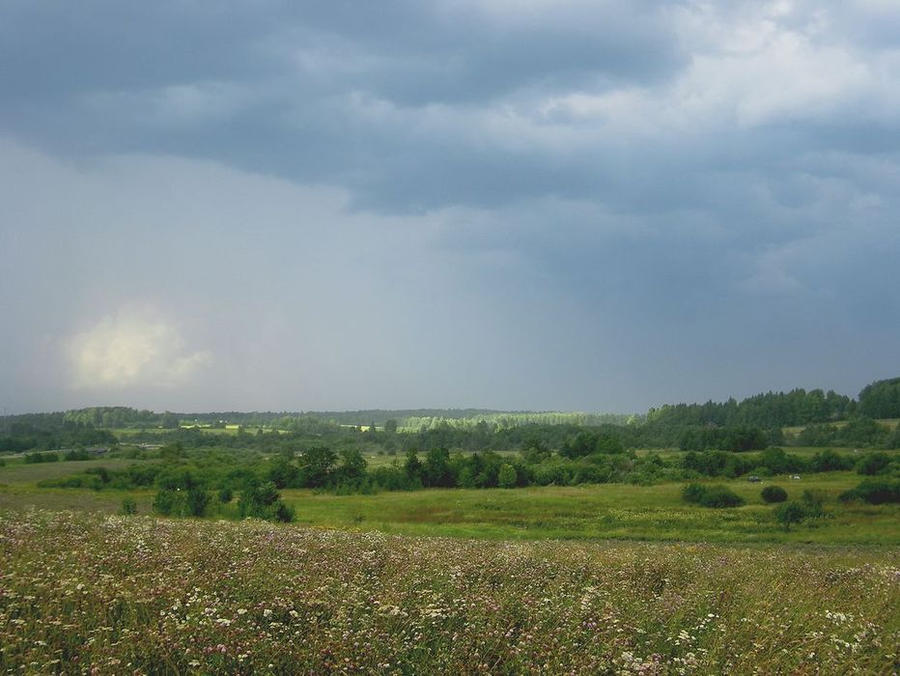 Summer storm