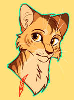 Lionblaze Headshot Request