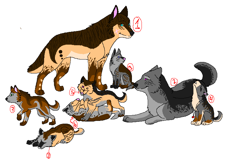 Wolfes adoptables