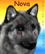 Nova - Avatar