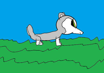 my webkinz husky