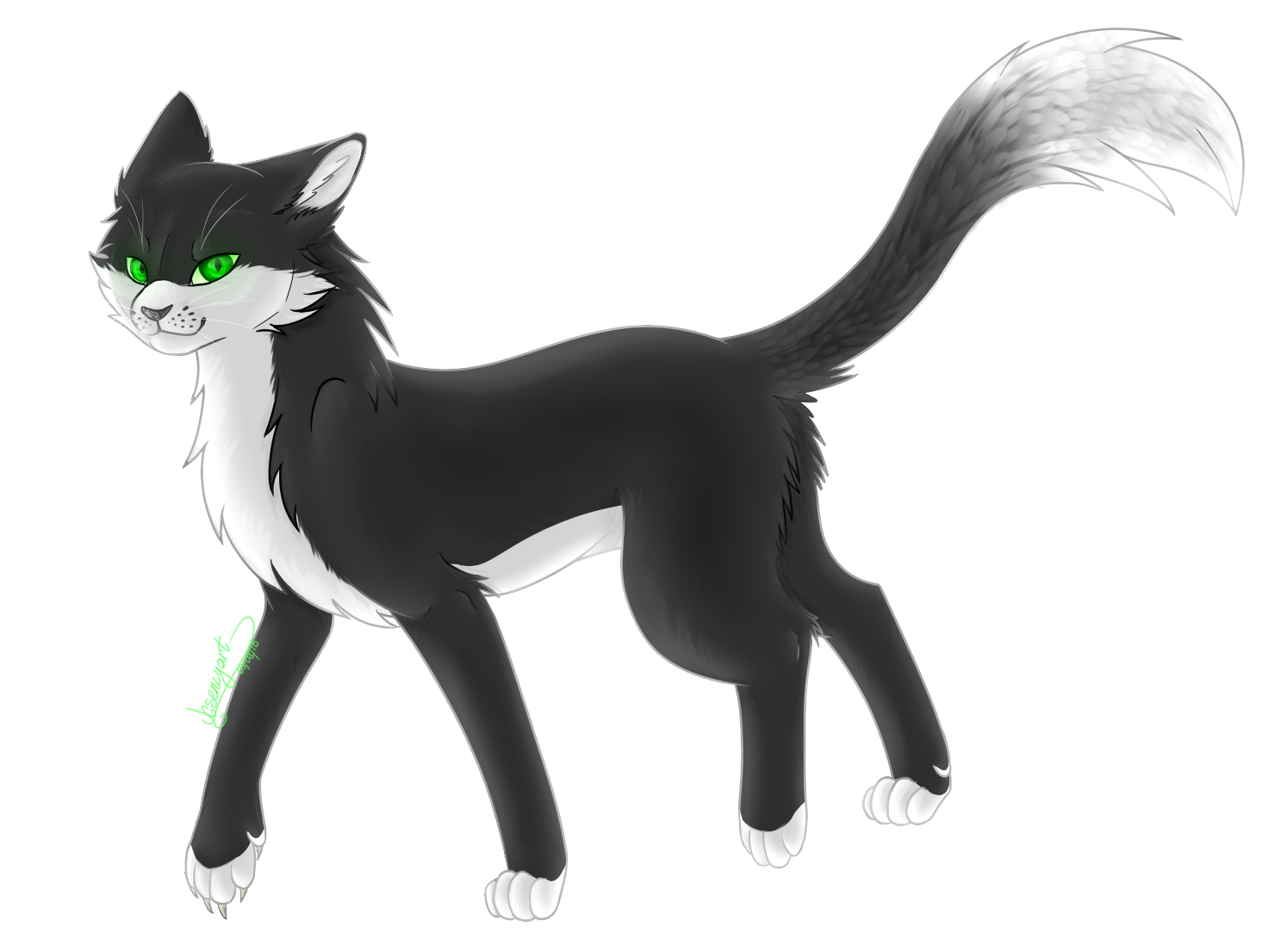 Warrior cats black and white 2025