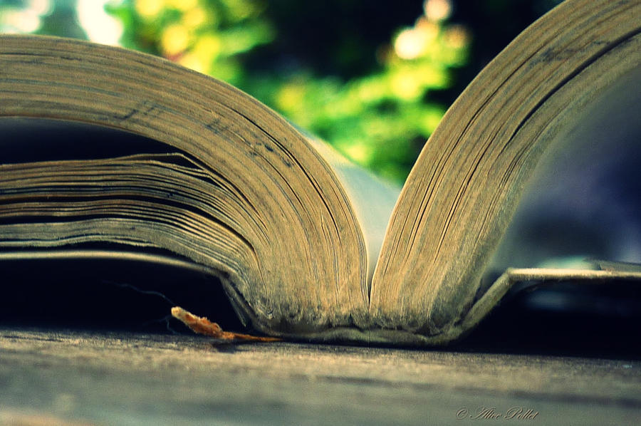 Book Deviantart Book by Aliceandco on DeviantArt