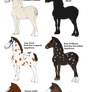 More DR. Who Horses