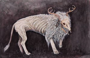 The White King