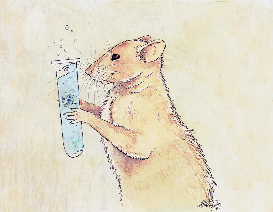 The Science Rat