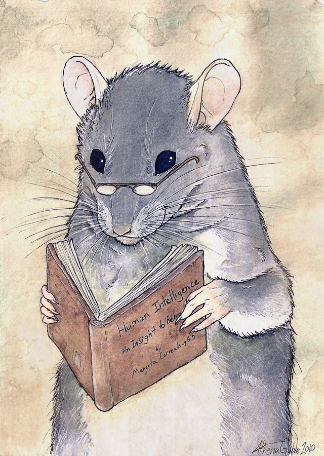 Smart Rats Sci Fi The Smart rat by Shizuku-Uzu on DeviantArt