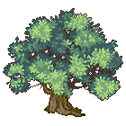 Tree003
