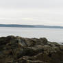 Acadia 5
