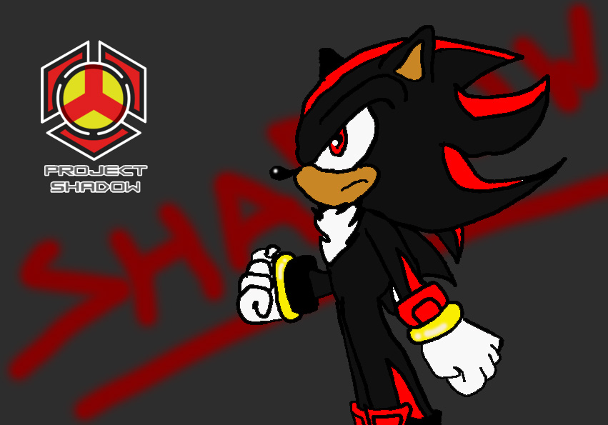 Project Shadow by CrystalCrash24 on DeviantArt