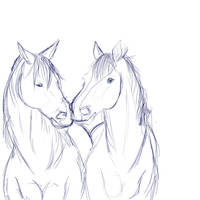 Horses